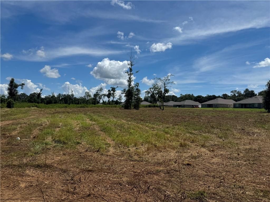 0 Lundy Road, Theodore, AL 36582 — photo 4