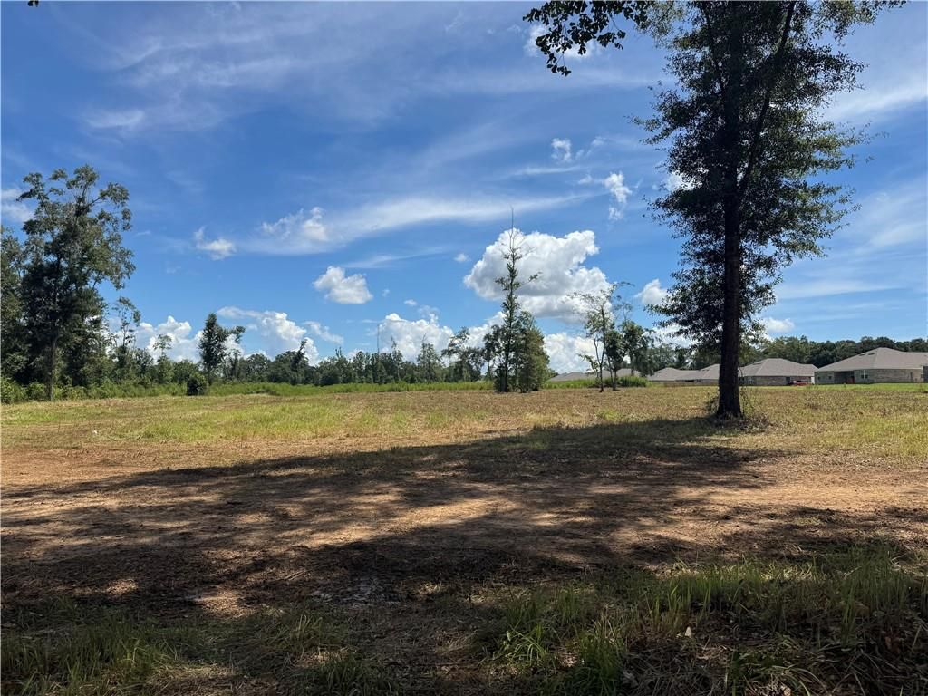0 Lundy Road, Theodore, AL 36582 — photo 5