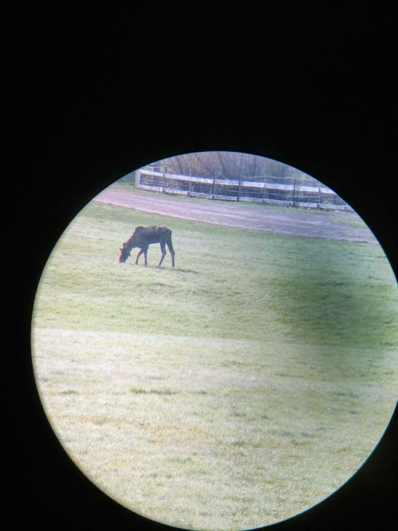 2651 Big Horn Road, Melrose, MT 59743 photo 50