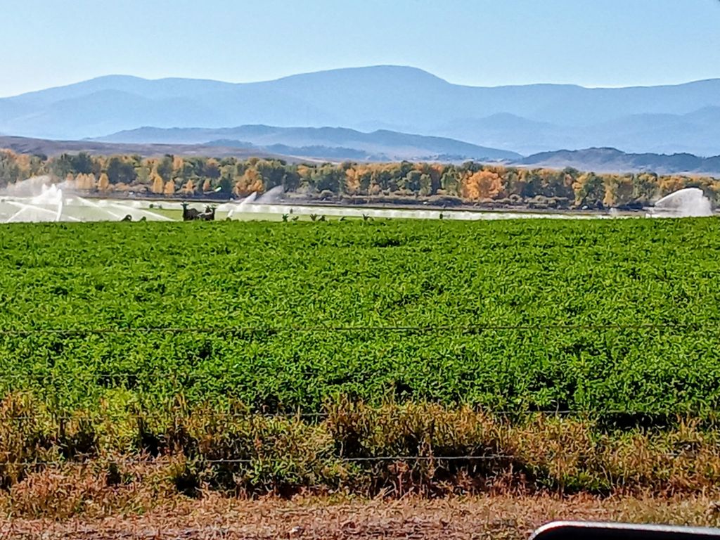 2651 Big Horn Road, Melrose, MT 59743 photo 54