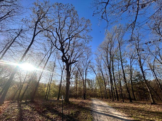 3644 State Highway Ww, Aurora, MO 65605