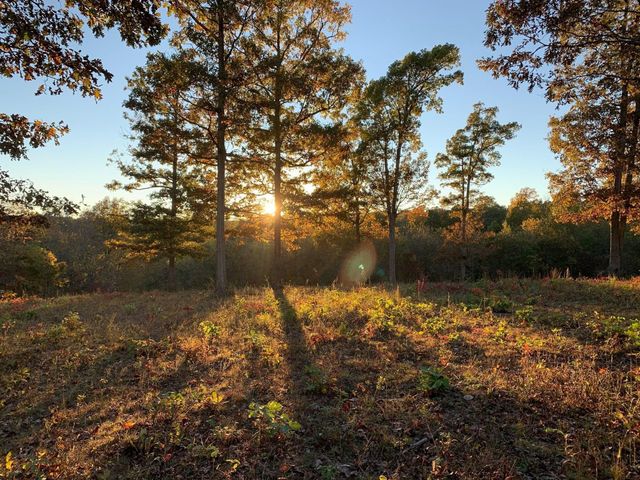 3644 State Highway Ww, Aurora, MO 65605