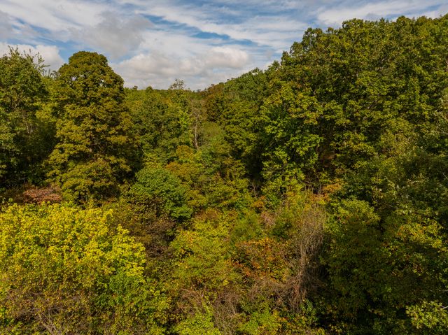 3644 State Highway Ww, Aurora, MO 65605