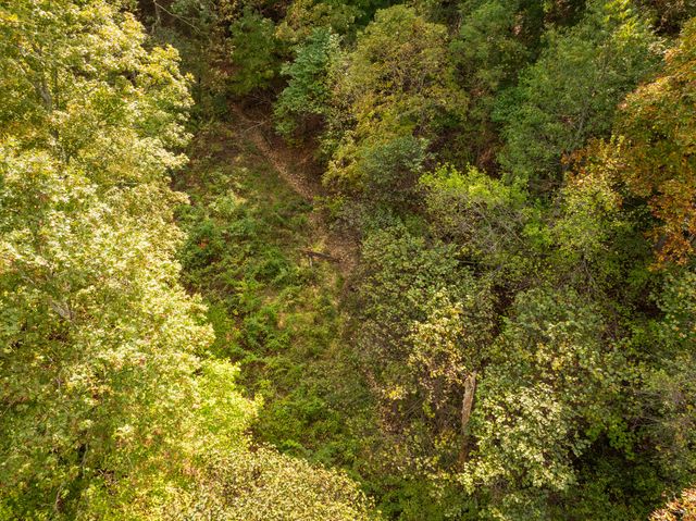 3644 State Highway Ww, Aurora, MO 65605