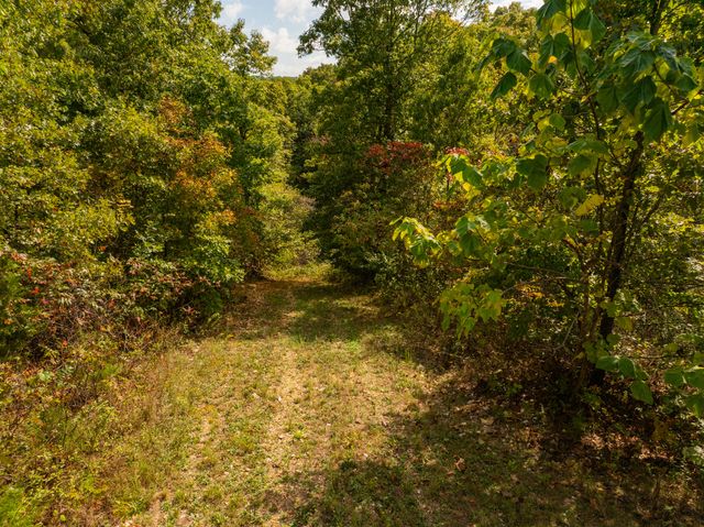 3644 State Highway Ww, Aurora, MO 65605