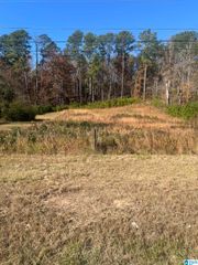 1845 PELHAM ROAD S, Jacksonville, AL 36265