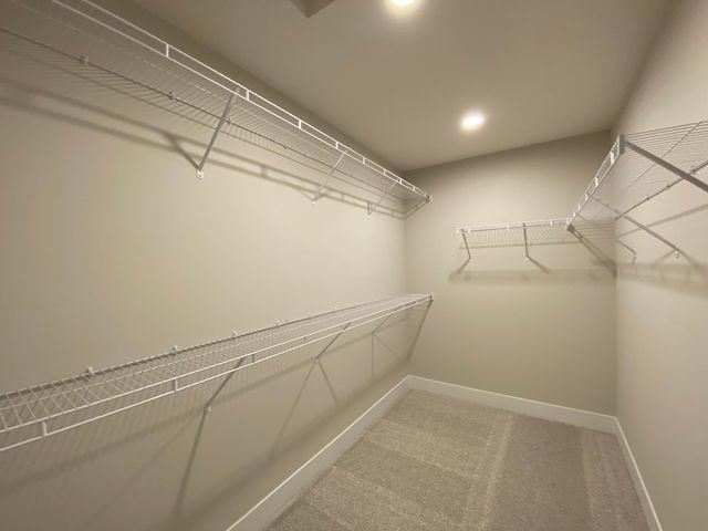 2036 Tamarack Road, Carver, MN 55315