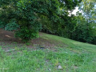Tbd Hilton Road, Gate City, VA 24251