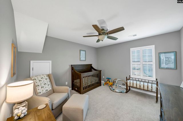 324 Crassula Drive, Lexington, SC 29073