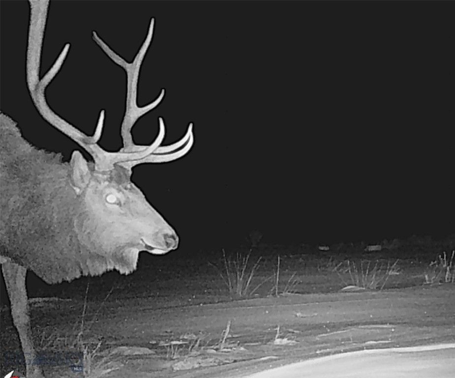 nhn Ruby Creek Road 946-18, Belfry, MT 59008 photo 26