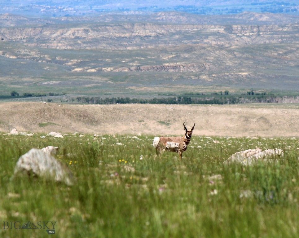 nhn Ruby Creek Road 946-18, Belfry, MT 59008 photo 29
