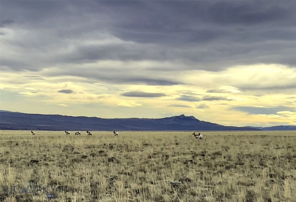 nhn Ruby Creek Road 946-18, Belfry, MT 59008 photo 30