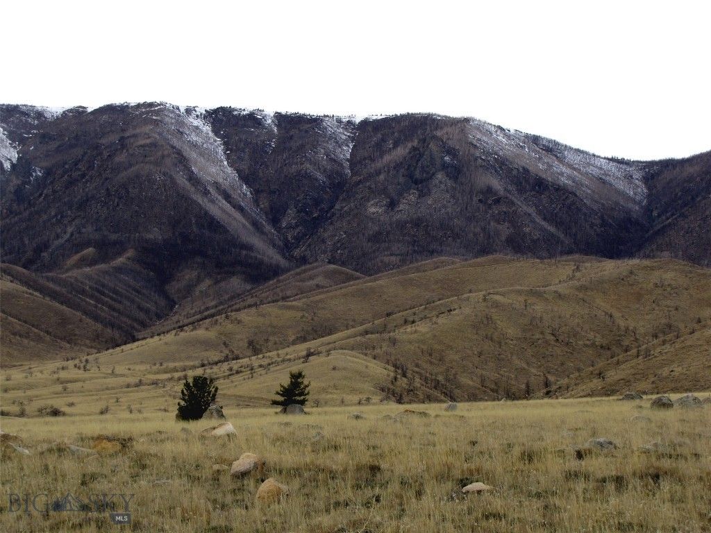 nhn Ruby Creek Road 946-18, Belfry, MT 59008 photo 8