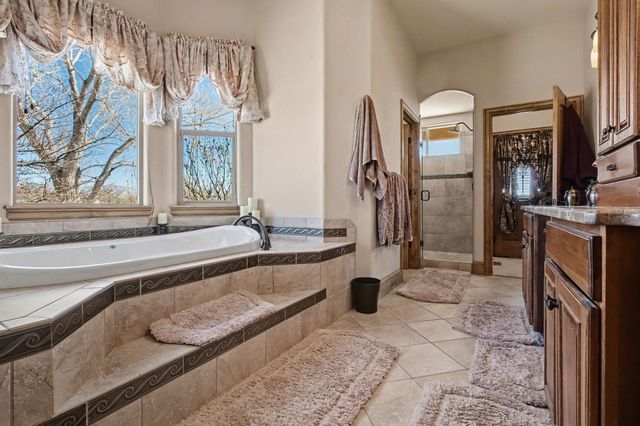 1013 Pritchard Mesa Court, Grand Junction, CO 81505