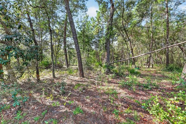 4920 W CEDAR HILL STREET, Dunnellon, FL 34433