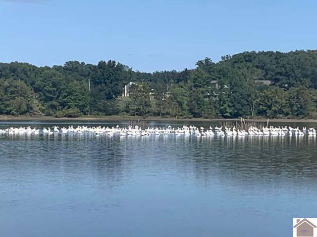 549 Mermie, Hardin, KY 42048