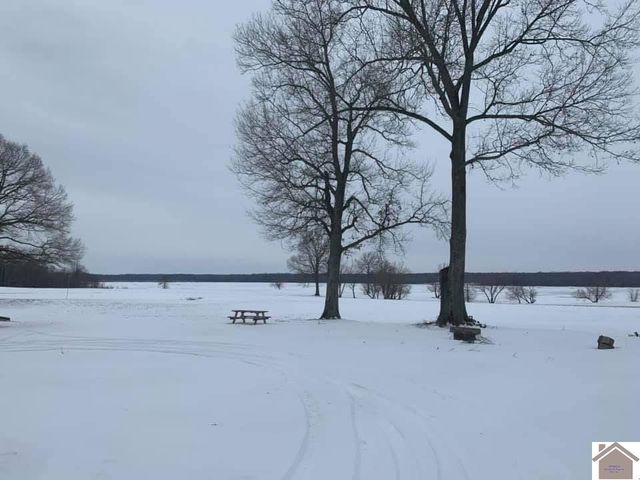 549 Mermie, Hardin, KY 42048