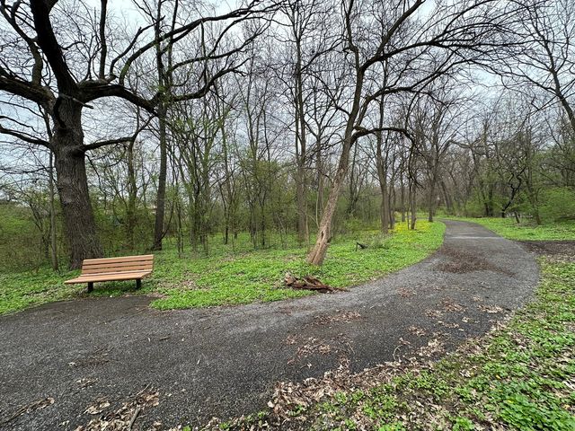 19213 Center Avenue, Homewood, IL 60430