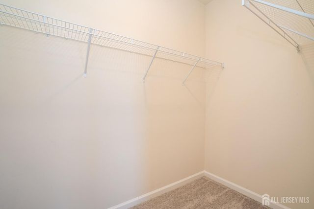 220 Jessie Place, New Brunswick, NJ 08901