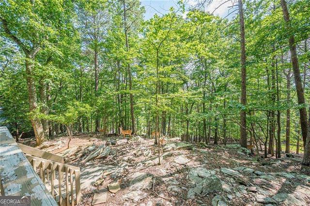 834 Lake Arrowhead Drive, Waleska, GA 30183
