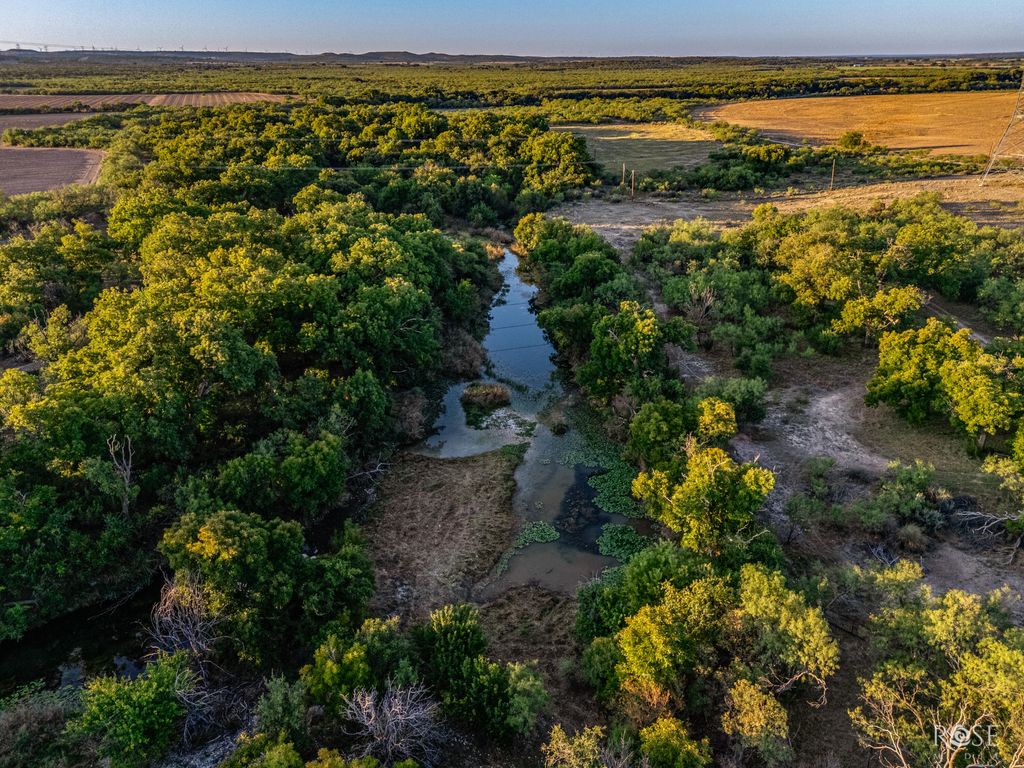 Image 18 of property listing at Tbd Tweedy Road, San Angelo, TX 76904