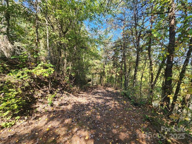 366 Cabin Hollow Drive, Marshall, NC 28753