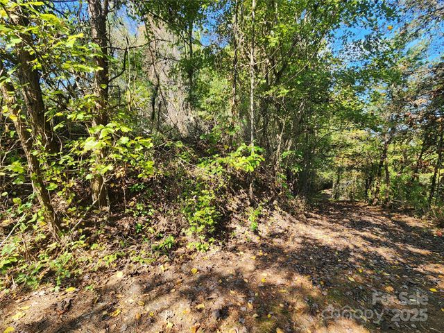 366 Cabin Hollow Drive, Marshall, NC 28753