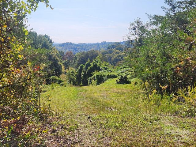 366 Cabin Hollow Drive, Marshall, NC 28753