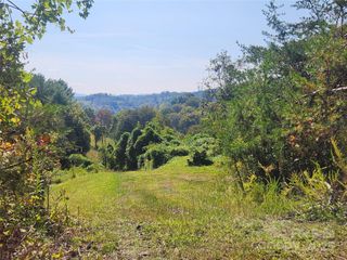 366 Cabin Hollow Drive, Marshall, NC 28753