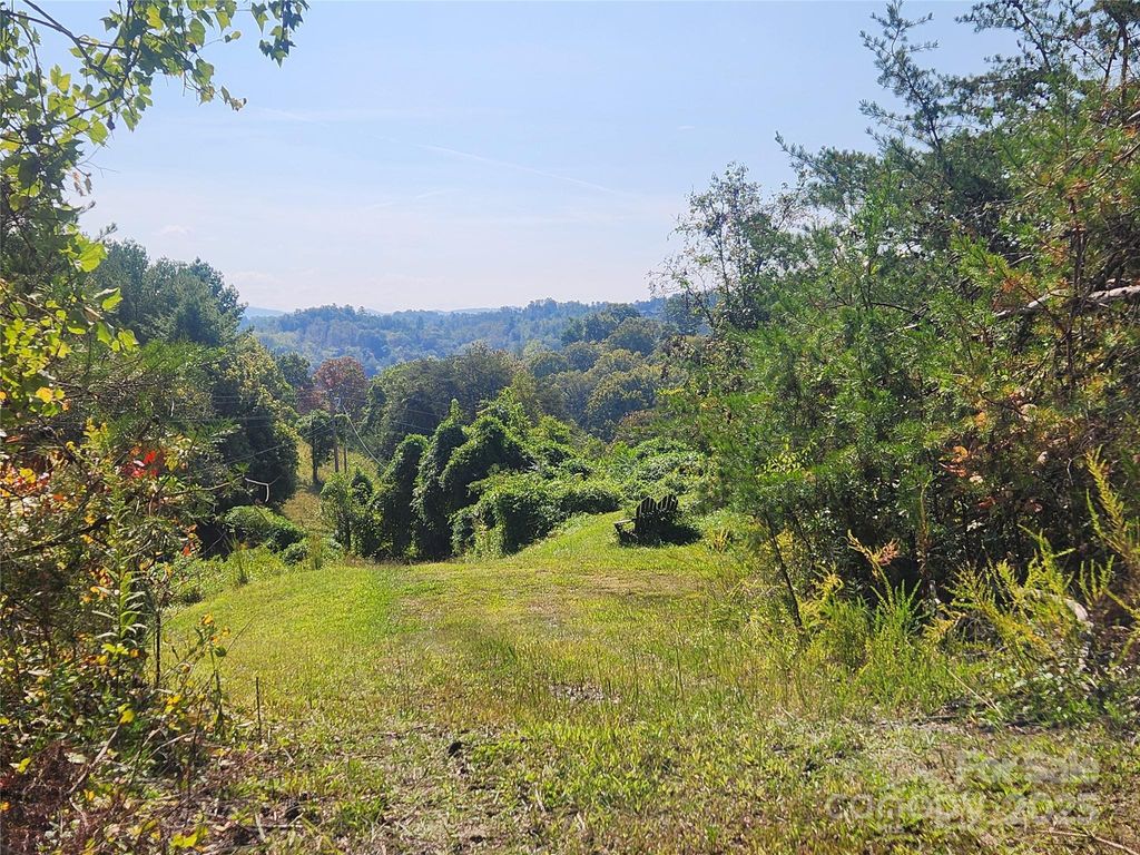 366 Cabin Hollow Drive, Marshall, NC 28753