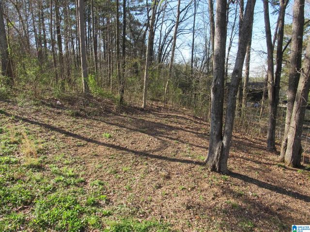 1737 MOLLY LANE, Birmingham, AL 35235