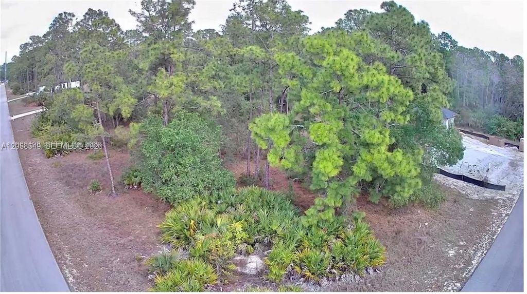 901 E 17th Street, Lehigh Acres, FL 33972