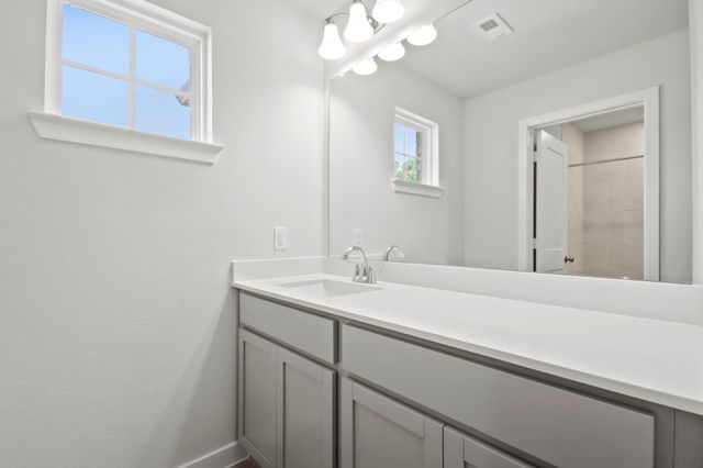 209 Bronzewood Terrace Court, Willis, TX 77318