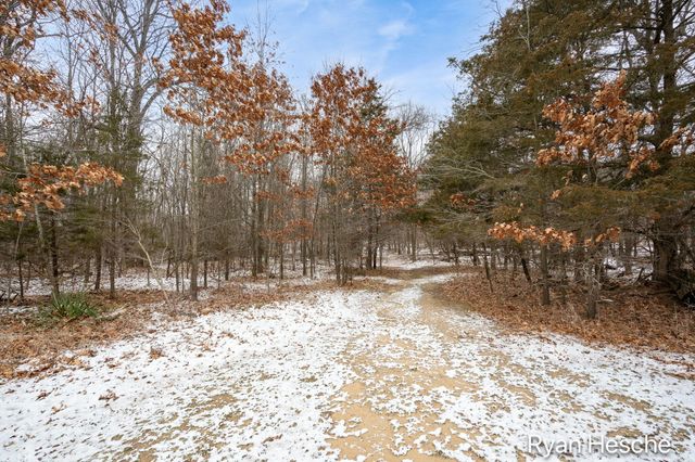 8351 Goodwin Road, Portland Twp, MI 48851