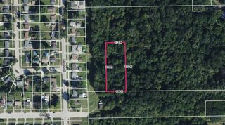 Inkster Road, Romulus, MI 48174