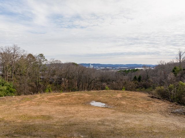 0 Rivermont Road, Chattanooga, TN 37415