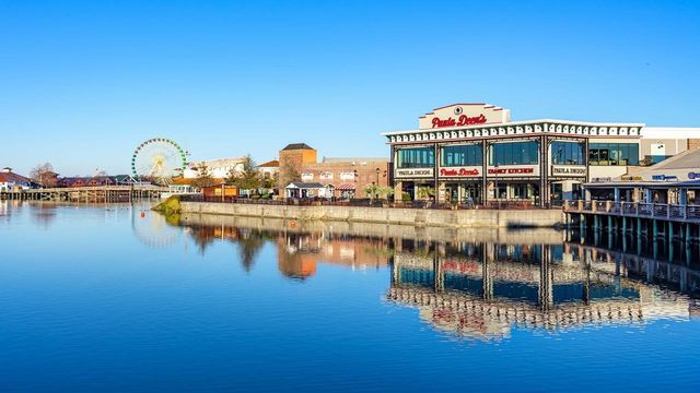 3017 Berry Bush Way, Conway, SC 29526