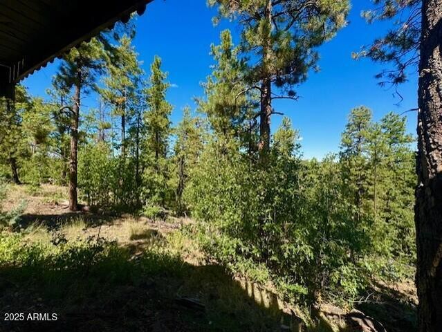 1725 TURKEY MOUNTAIN Road, Happy Jack, AZ 86024