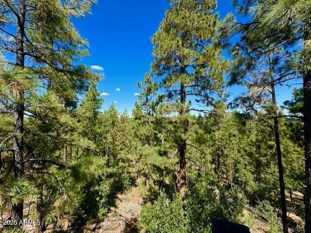 1725 TURKEY MOUNTAIN Road, Happy Jack, AZ 86024