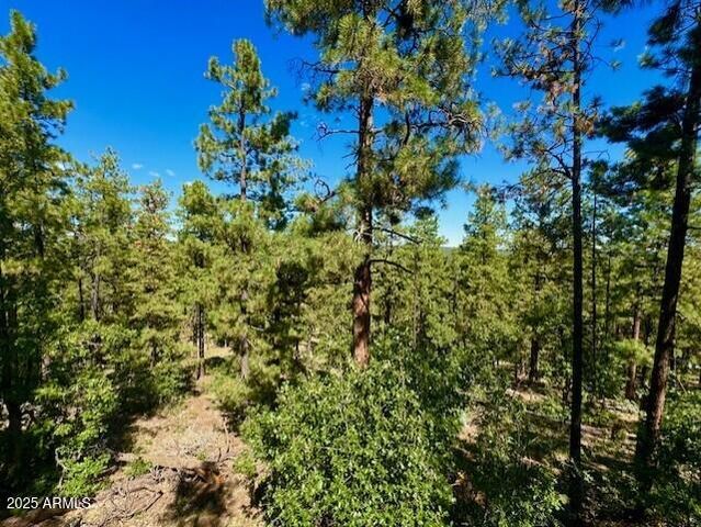 1725 TURKEY MOUNTAIN Road, Happy Jack, AZ 86024