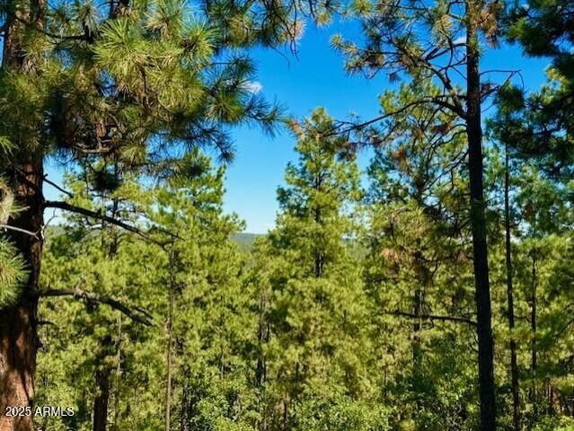 1725 TURKEY MOUNTAIN Road, Happy Jack, AZ 86024