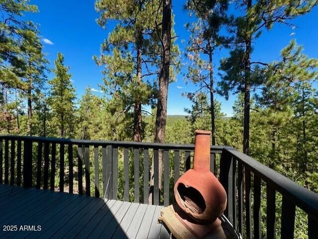 1725 TURKEY MOUNTAIN Road, Happy Jack, AZ 86024