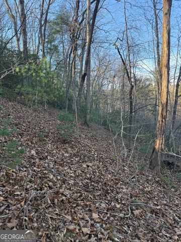 15 Mountain Gate, Cleveland, GA 30528