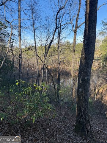 15 Mountain Gate, Cleveland, GA 30528