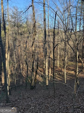 15 Mountain Gate, Cleveland, GA 30528