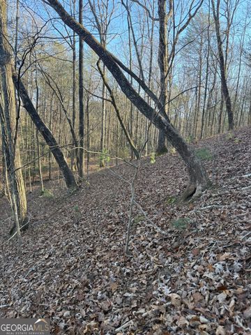 15 Mountain Gate, Cleveland, GA 30528