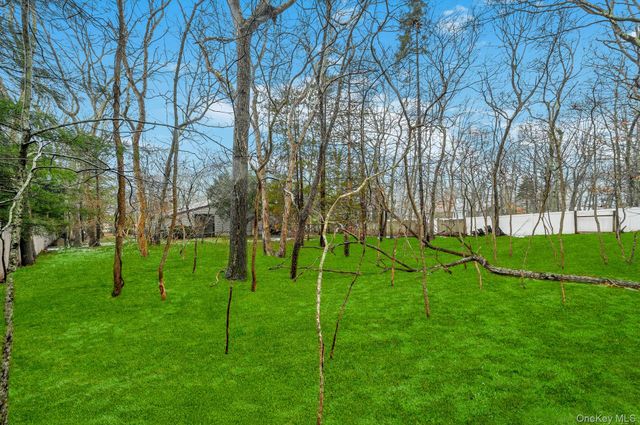 60 Hildreth Place, East Hampton, NY 11937