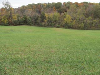 793 S Pickens Bridge Road, Gray, TN 37615