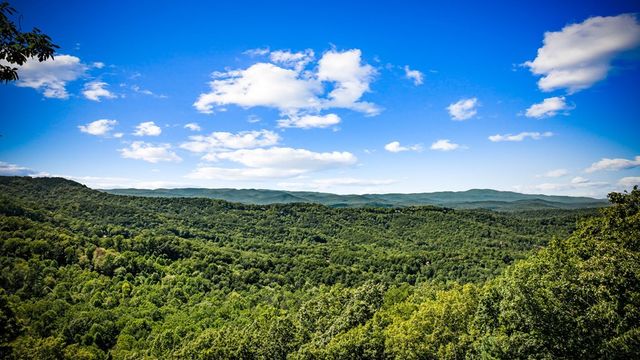 55 Grand Vista Drive, Blue Ridge, GA 30513