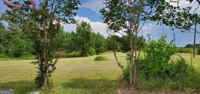 38 W Highway 46, Lyons, GA 30436